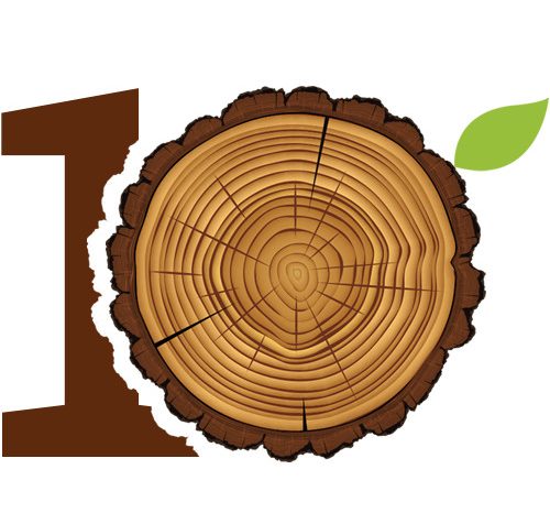 4Graph compie 10 anni, e con lei cresce una foresta.