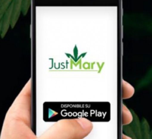 App per la cannabis light rimossa: la startup milanese JustMary.fun sfida Google
