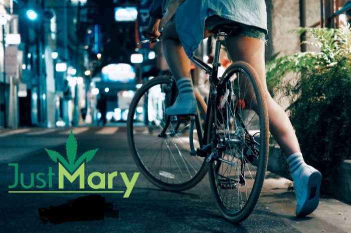 JustMary.fun non si ferma. Al via round privato di investimento.