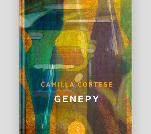 Una love story ai tempi dei call center. Esce "Genepy", terza opera della scrittrice veronese Camilla Cortese