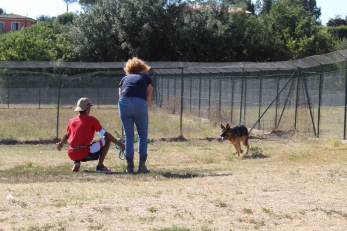 PROGETTO “CAMBIO ROTTA” - LA FONDAZIONE CAVE CANEM ONLUS INVESTE NELLE NUOVE GENERAZIONI E SOSTIENE INTERVENTI SOCIO EDUCATIVI PER DARE AIUTO A  CANI ABBANDONATI E OFFRIRE A GIOVANI COINVOLTI NEL CIRCUITO PENALE MINORILE UNA VIA D’USCITA E UNA NUOVA PROSPETTIVA DI VITA