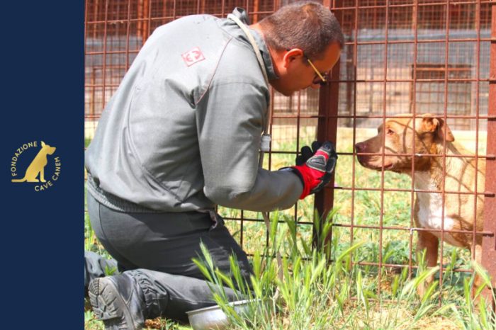 Al via i nuovi corsi di formazione promossi dall'Accademia CAVE CANEM, il progetto formativo della Fondazione CAVE CANEM ONLUS, destinato a chi lavora per gli animali o sogna di farlo.