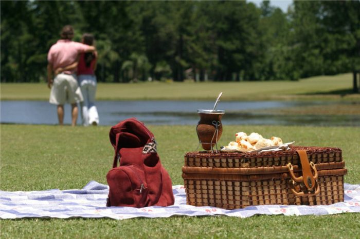 Mate: i segreti dell'oro verde argentino