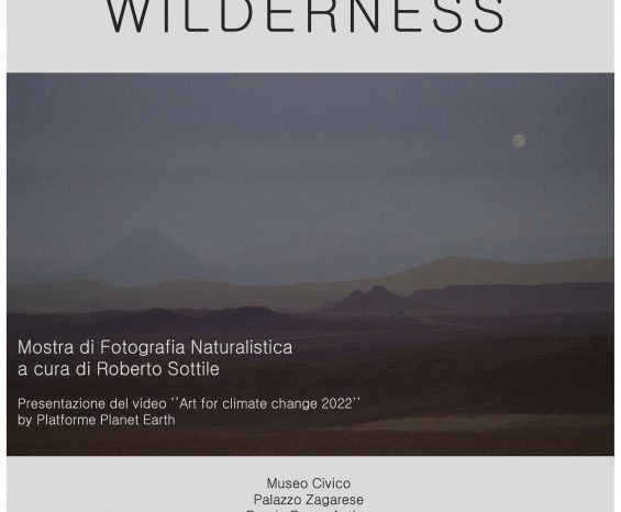 La Mostra di Fotografia naturalistica di Vincenzo Cohen al Museo Civico di Rende (CS)