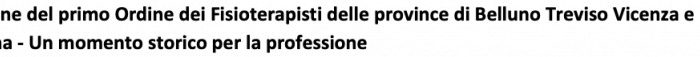 Elezione del primo Ordine dei Fisioterapisti delle province di Belluno Treviso Vicenza e Verona - Un momento storico per la professione